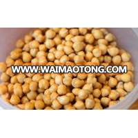 Chickpea (9 MM - 58/60 Count) High Quality Kabuli White Chickpeas