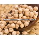 Chickpeas