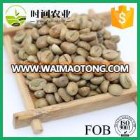 High quality robusta green coffee bean grown in Vietnam