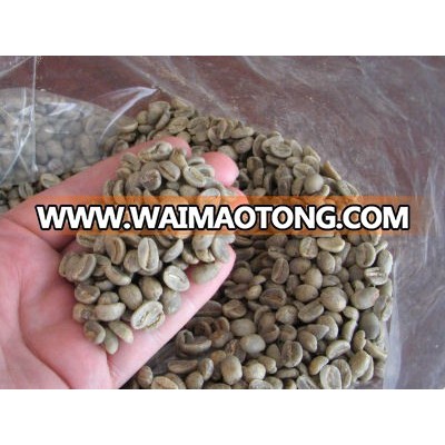 green arabica coffee bean suppliers