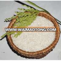 Best Price Dried 5% Broken Long Grain Viet White Rice