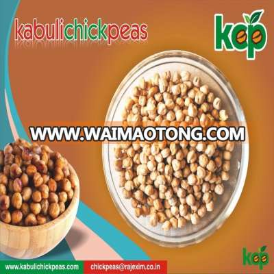 Fresh Garbanzo Beans Exporters