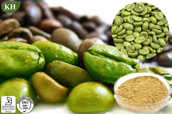 Supply Pure Total Chlorogenic Acid Green Coffee Bean Extract