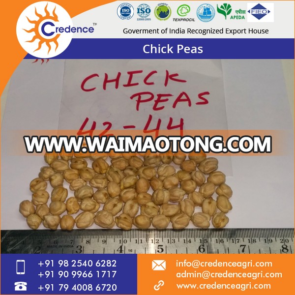 Indian Fresh Natural Flavor Chickpeas/ Kabuli Chick Peas for Sale