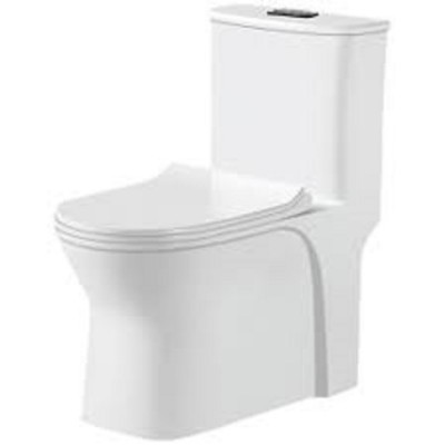 Push button flush toilet design from India